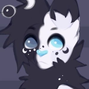 Meet your Posher, Summer